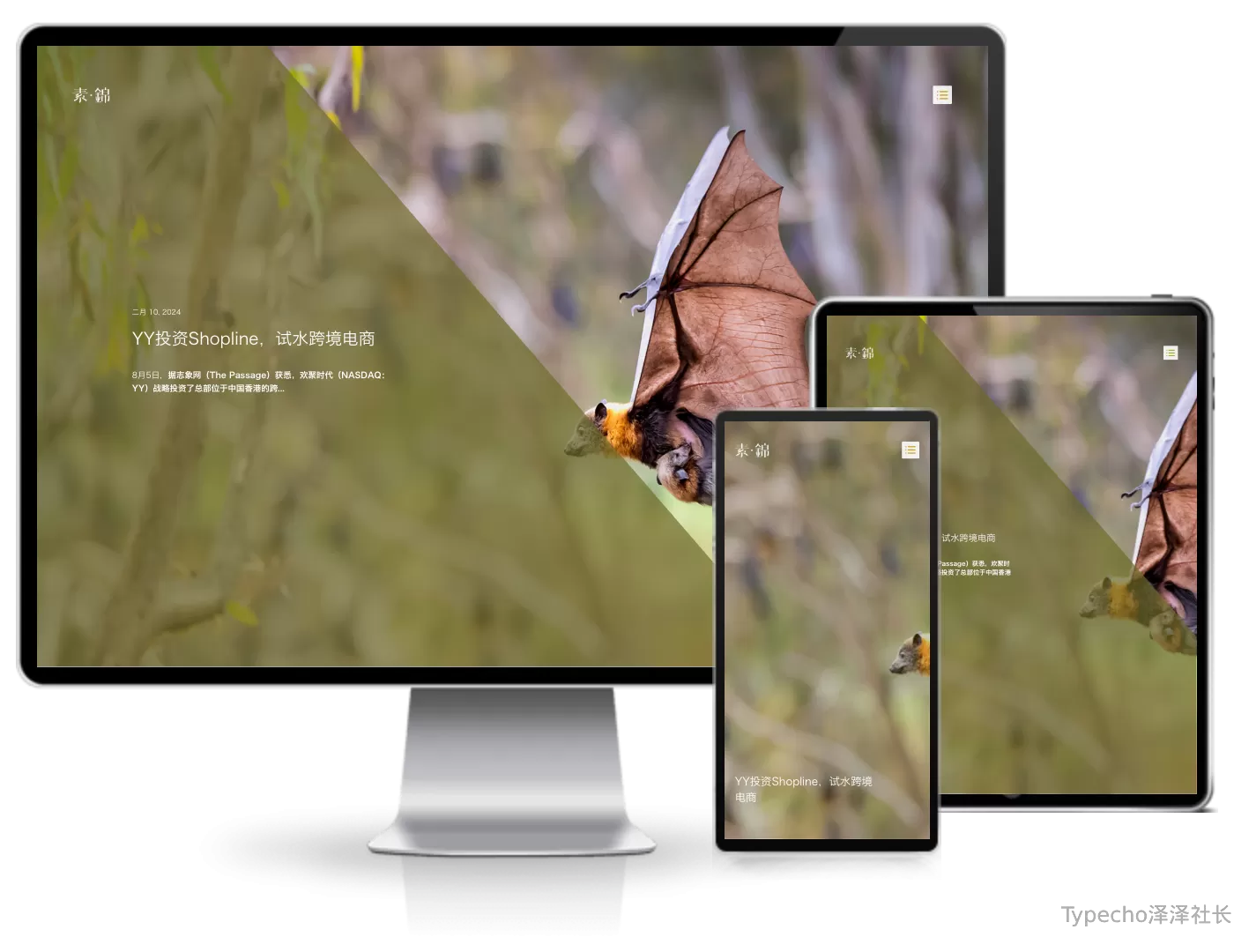 diaspora素锦文艺风