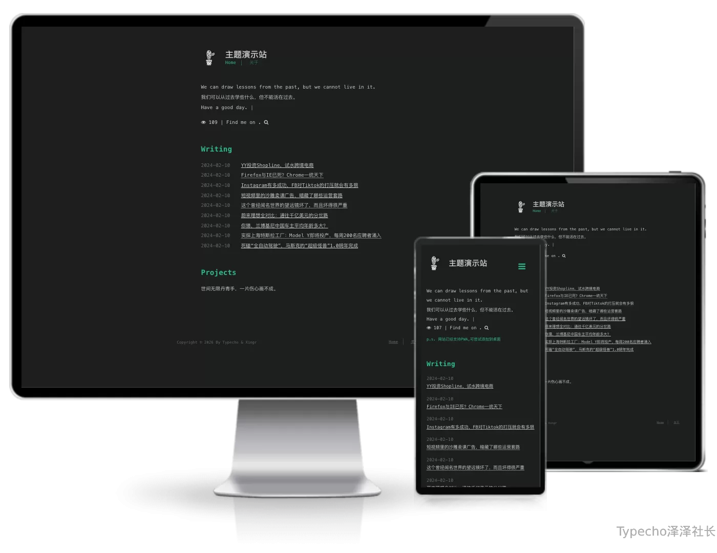 cactus (仙人掌)主题